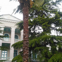 фото из отзыва ID 2293518