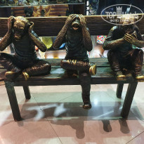 фото из отзыва ID 2293631