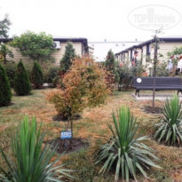 фото из отзыва ID 2293665