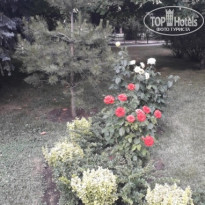 фото из отзыва ID 2293665