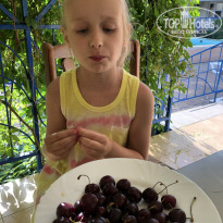 фото из отзыва ID 2293679