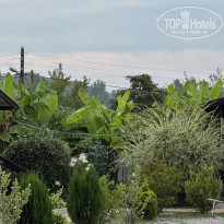 фото из отзыва ID 2293705