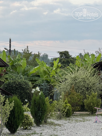 New photos from tourists MiMi Guest House