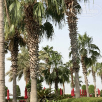 фото из отзыва ID 2293710