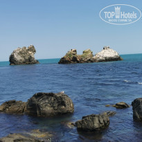 фото из отзыва ID 2293752