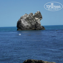 фото из отзыва ID 2293752