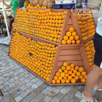 фото из отзыва ID 2293801