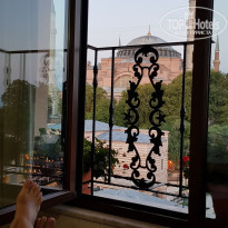 фото из отзыва ID 2293949