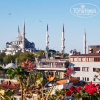 фото из отзыва ID 2293949