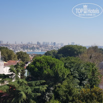 фото из отзыва ID 2293949