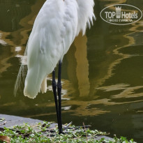 фото из отзыва ID 2293987