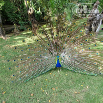 фото из отзыва ID 2293987