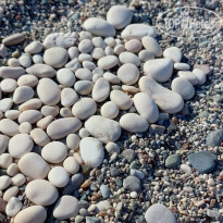 фото из отзыва ID 2293003