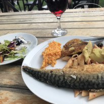 фото из отзыва ID 2294056