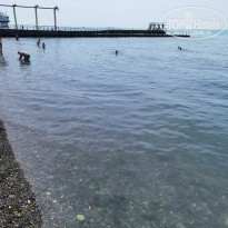 фото из отзыва ID 2294175