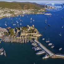 фото из отзыва ID 2294080