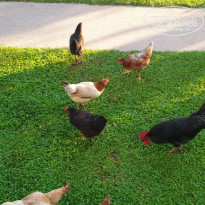 фото из отзыва ID 2294336