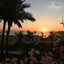 фото из отзыва ID 2294325