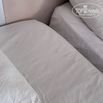 фото из отзыва ID 2294467