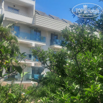 фото из отзыва ID 2294532