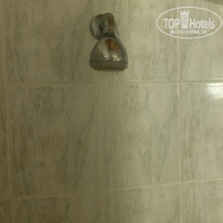 фото из отзыва ID 2294607