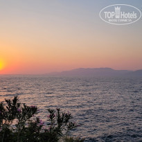 фото из отзыва ID 2294592