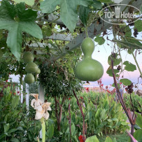 фото из отзыва ID 2294630