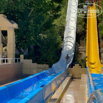 фото из отзыва ID 2294690