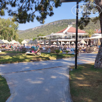 фото из отзыва ID 2293990