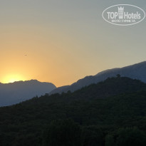 фото из отзыва ID 2294691