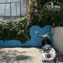 фото из отзыва ID 2294691