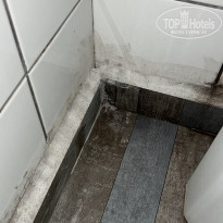 фото из отзыва ID 2294691