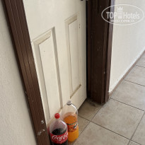 фото из отзыва ID 2294691