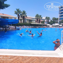 фото из отзыва ID 2294723