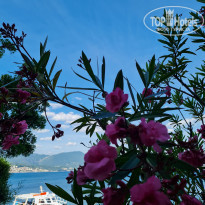 фото из отзыва ID 2294758