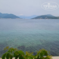 фото из отзыва ID 2294758