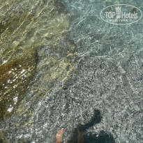 фото из отзыва ID 2294827