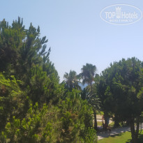 фото из отзыва ID 2294866