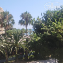 фото из отзыва ID 2294866