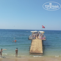 фото из отзыва ID 2294866