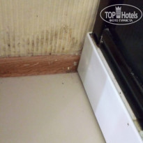 фото из отзыва ID 2294962