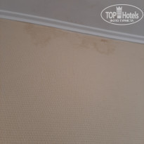 фото из отзыва ID 2294908