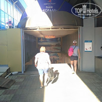 фото из отзыва ID 2295010