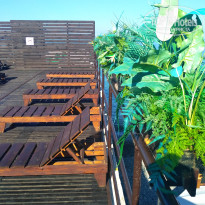 фото из отзыва ID 2295010