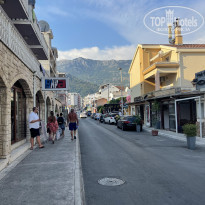 фото из отзыва ID 2295011