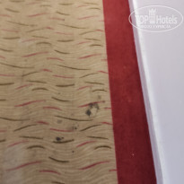 фото из отзыва ID 2295077