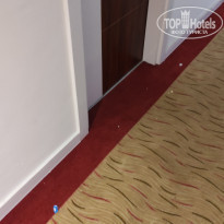 фото из отзыва ID 2295077