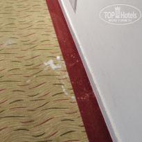 фото из отзыва ID 2295077