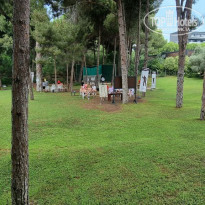 фото из отзыва ID 2295108