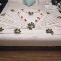 фото из отзыва ID 2295108